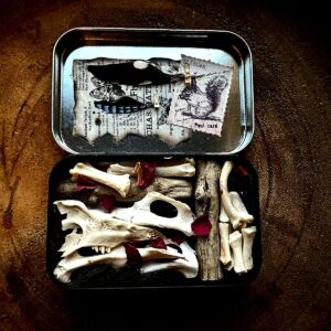 fallow antler buttons