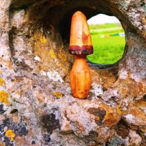 Rollright hawthorn mushroom